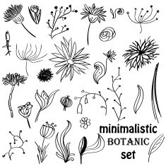 set of minmalistic hand drawn floral elements