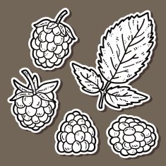 cute raspberries