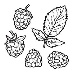 cute Raspberry