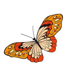 Red butterfly with open wings in a top view