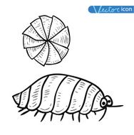 beetle cartoon bug insect icon vector illustration N6
