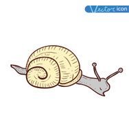 beetle carto snail cartoon bug insect icon vector illustration