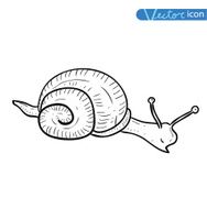 beetle carto snail cartoon bug insect icon vector illustration N2