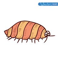 beetle cartoon bug insect icon vector illustration N10