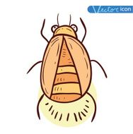 beetle cartoon bug insect icon vector illustration N13