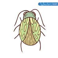 beetle cartoon bug insect icon vector illustration N20