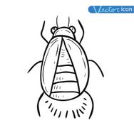 beetle cartoon bug insect icon vector illustration N26