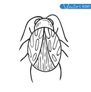beetle cartoon bug insect icon vector illustration N27
