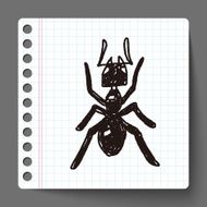 ant doodle N2
