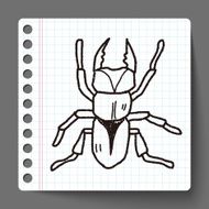 beetle doodle N6