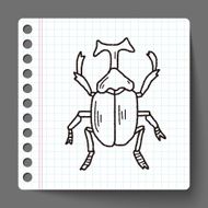 beetle doodle N7