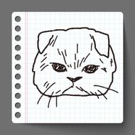 cat doodle drawing N25