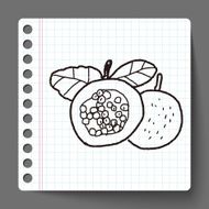 Passion Fruit doodle N3