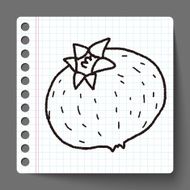 Passion Fruit doodle N4