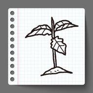 plant doodle N95