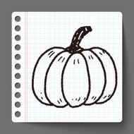 pumpkin doodle N9