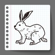 rabbit doodle N12