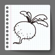 Radish doodle N3