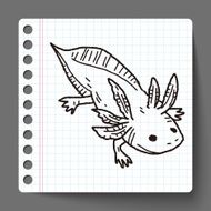 salamander doodle N2