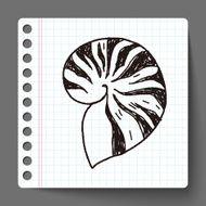 Shell doodle N13