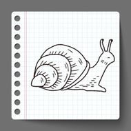 snail doodle N2