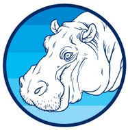 Hippopotamus amphibius or river horse N3