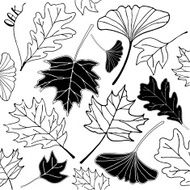 autumn leaf hand drawn doodle illustration