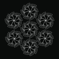white gingko leaf circle sketch doodle pattern on black