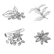doodle coffee beans