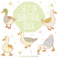 ducks set