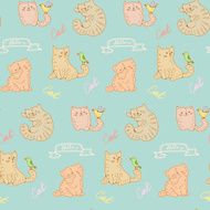 cats N24