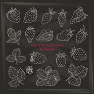 Set of strawberries and leaves on dark background