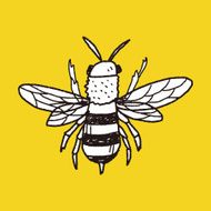 bee doodle N7