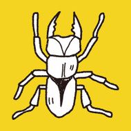beetle doodle N11