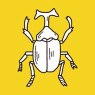 beetle doodle N12