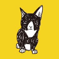 cat doodle drawing N40