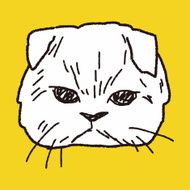 cat doodle drawing N42