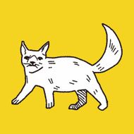 cat doodle drawing N43