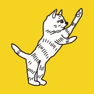 cat doodle drawing N44