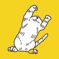 cat doodle drawing N46