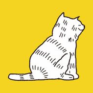 cat doodle drawing N47