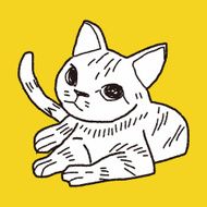 cat doodle drawing N48