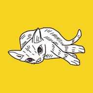 cat doodle drawing N49