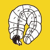 caterpillar doodle N11