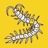 Centipede doodle N3