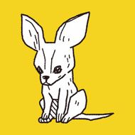 Dog doodle N33