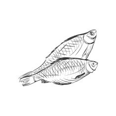 doodle fish N3