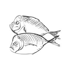 doodle fish N4