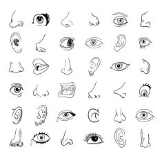 eye nose ear and mouth collection in different expressions