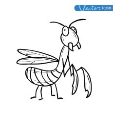 beetle cartoon bug insect icon vector illustration N4